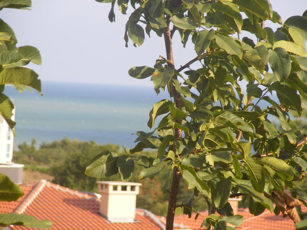Guest House "Zora - Sarafovo" Burgas Stad Buitenkant foto